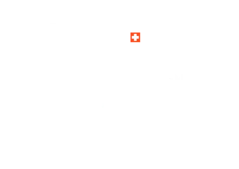Swiss Motorcycle Academy