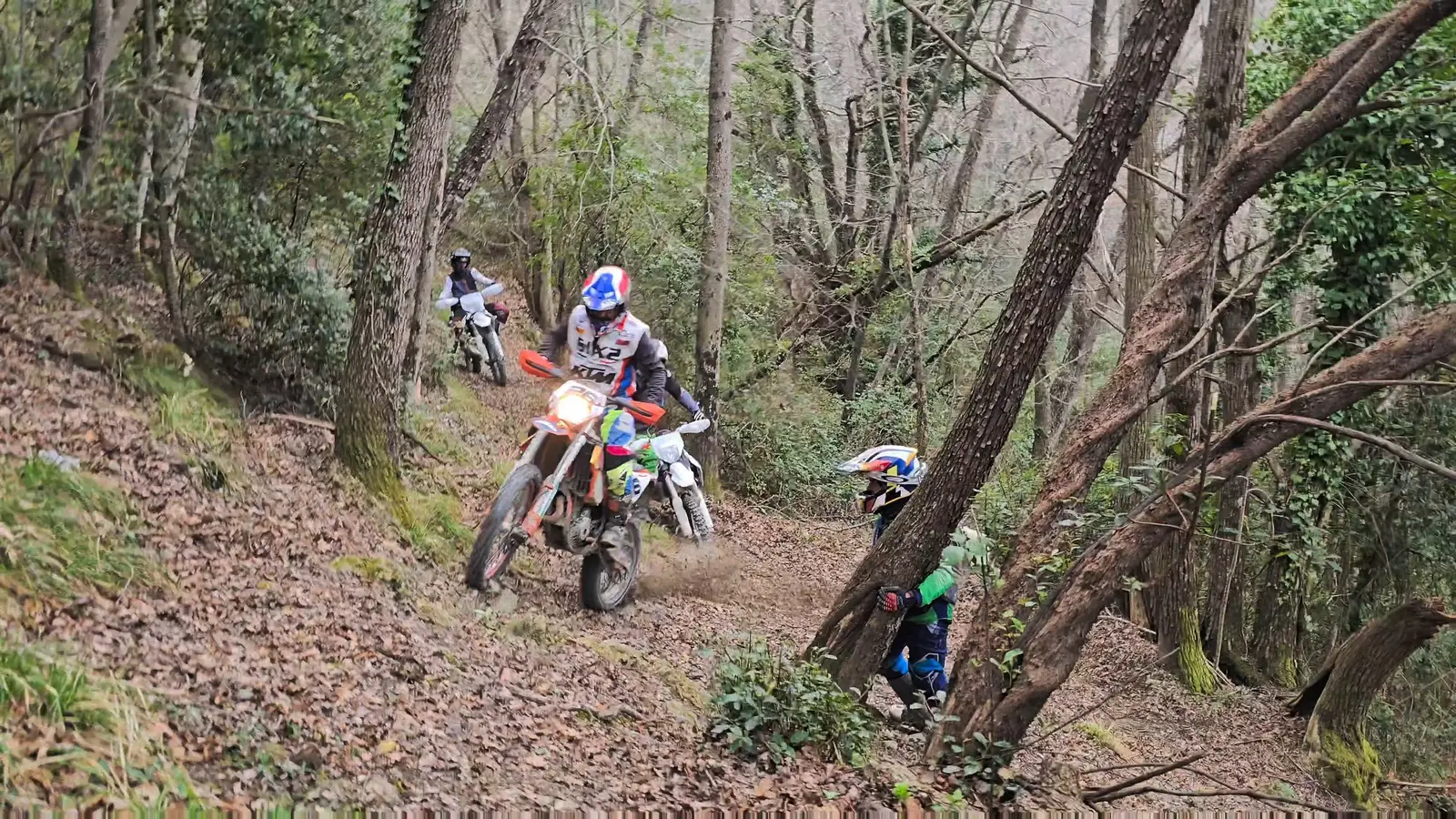 Die Gruppe auf einem Waldtrail, Motorräder hintereinander